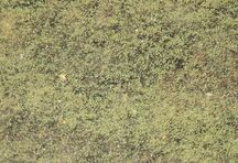 Leväkuva 3 17.7.2014.jpg