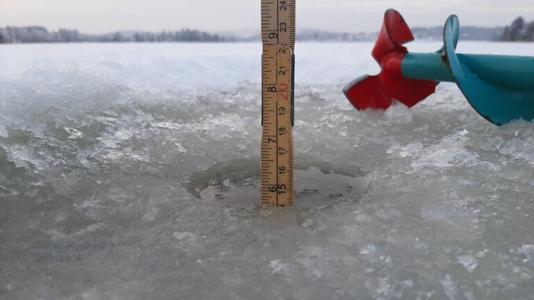 Palokkajärvi (14.291.1.001)-Tyyppälänlahden uimaranta-ObsICE-202101061610-45.jpg