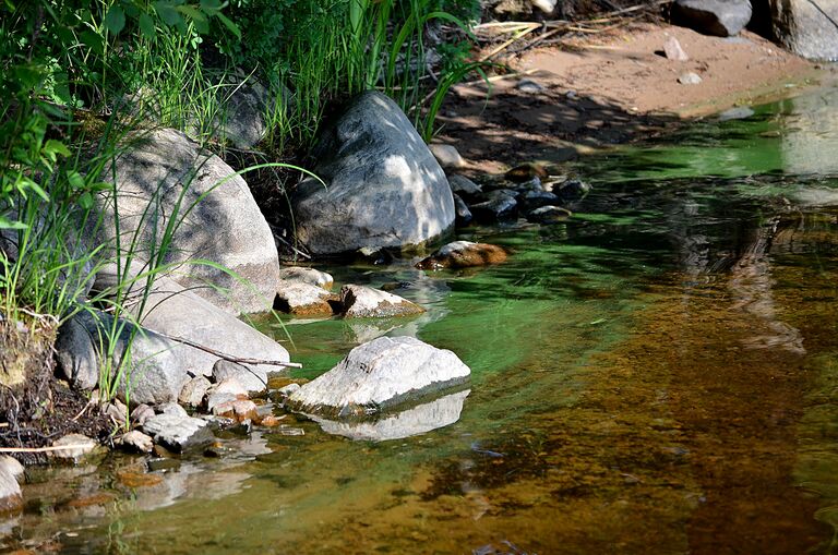 Sinileva 24062013.jpg