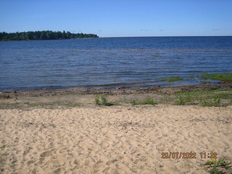 Siniluodon uimaranta.JPG