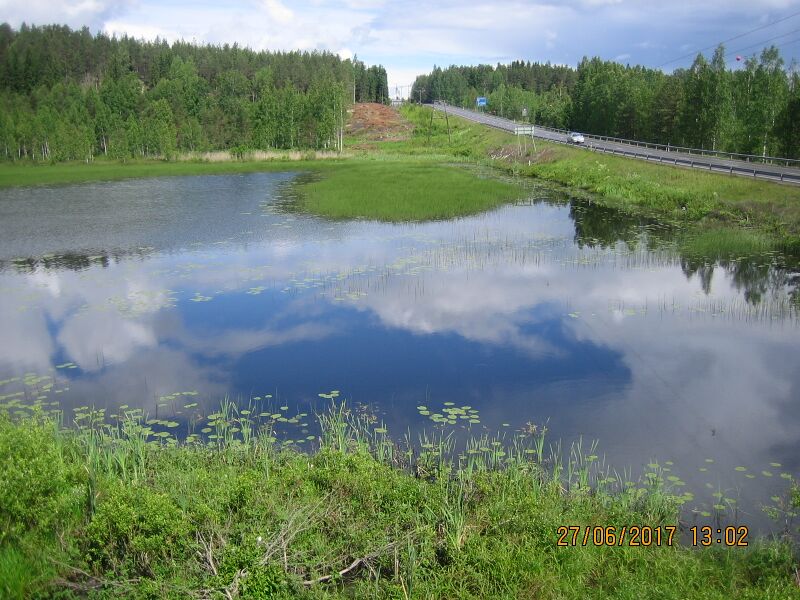 Tiedosto:Kotijarven lintutornista.JPG