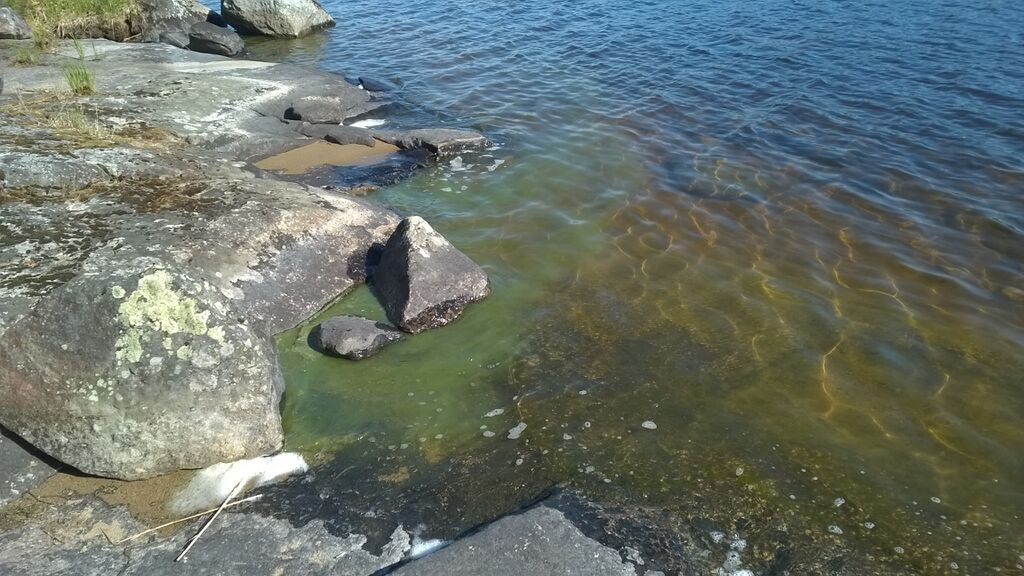 Päijänne (yhd.)-Ehtama saari-ObsIMG-201707101115-77.jpg