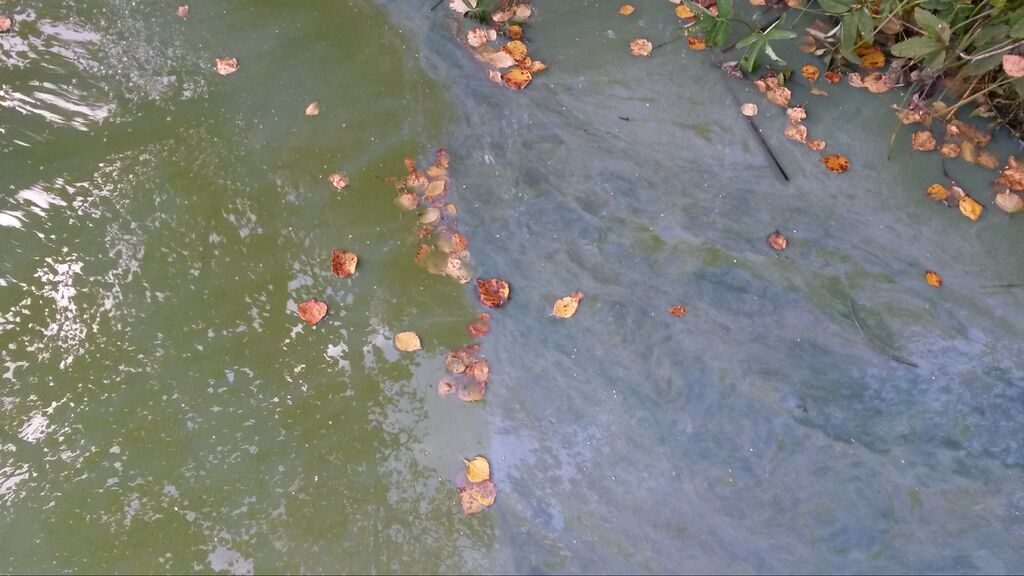 Purnujärvi 20140911 160618.jpg