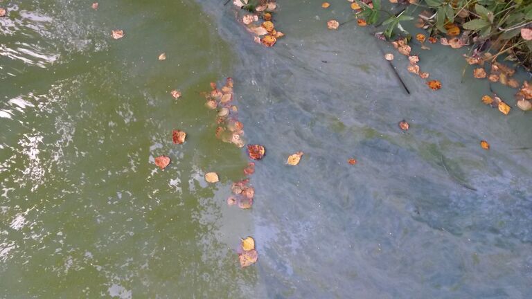 Purnujärvi 20140911 160618.jpg