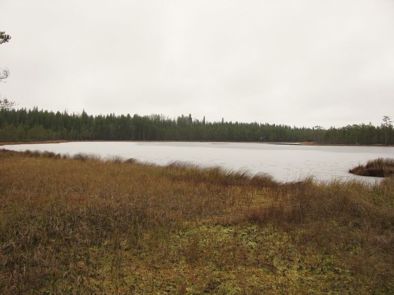 Tiedosto:Sikolampi 2629.JPG