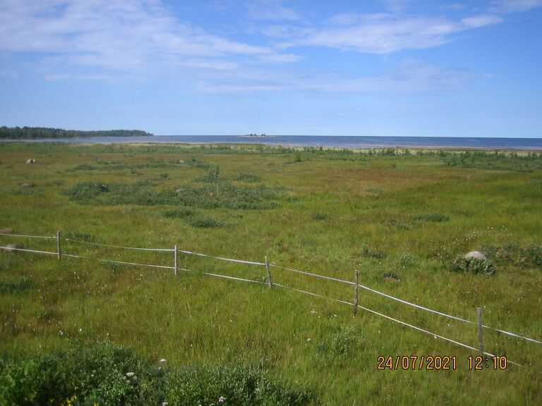 Veteraanimajan lintutornista 1.JPG