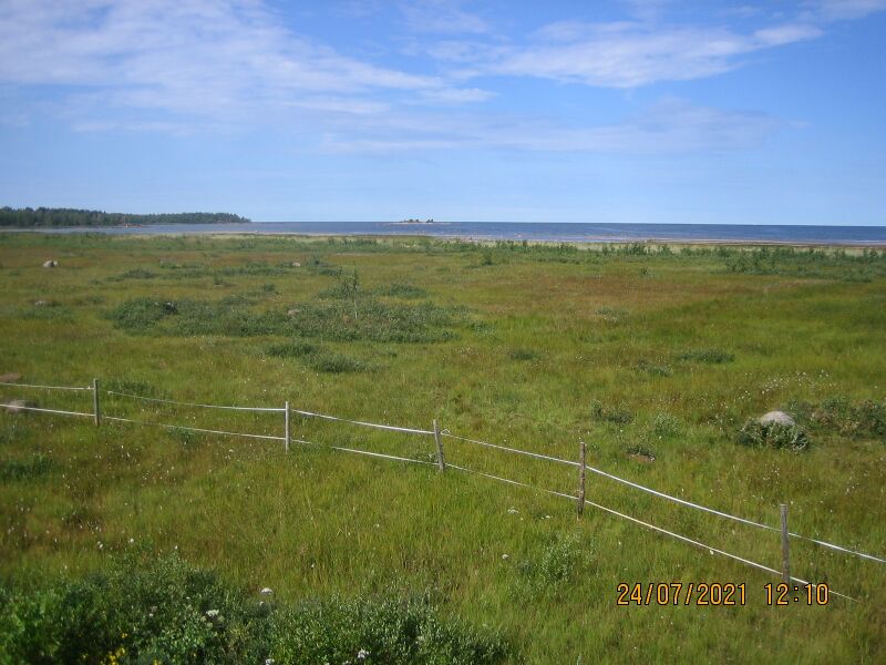 Tiedosto:Veteraanimajan lintutornista 1.JPG