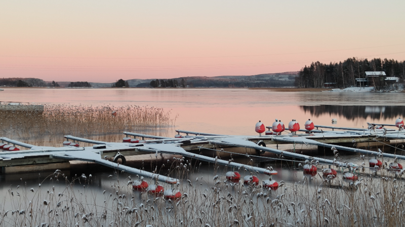 Tiedosto:Havainto-Kinkosalmi Säynätsalon ja Kinkomaan välissä-ObsICE-202412041657-67506e86ad1b4.png