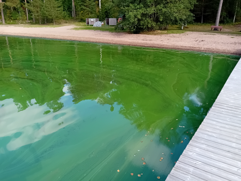 Tiedosto:Hiidenvesi (23.031.1.001)-Varikkaan uimaranta-ObsIMG-202309091452-64fe02701baf4.png