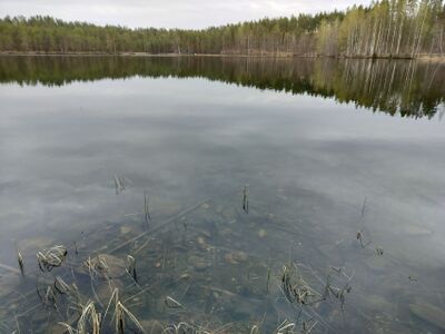 Jyrinjärvi0305.jpg