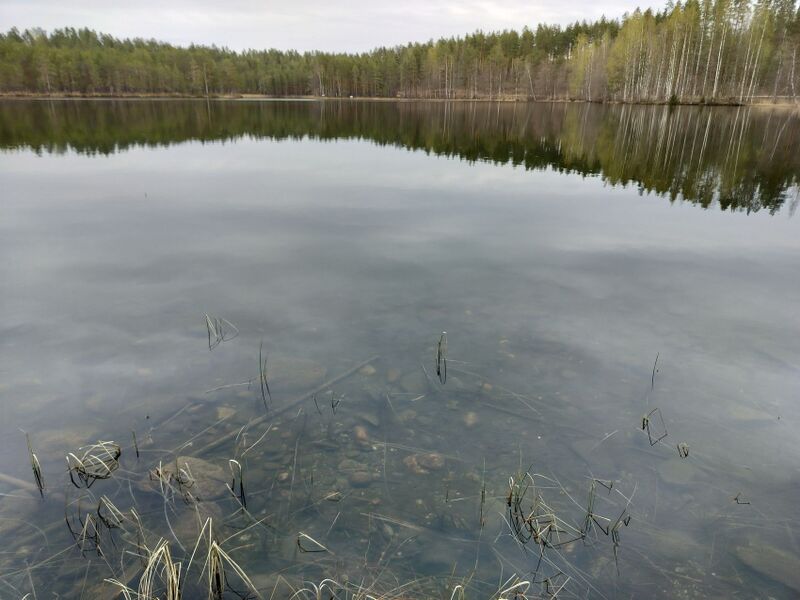 Tiedosto:Jyrinjärvi0305.jpg