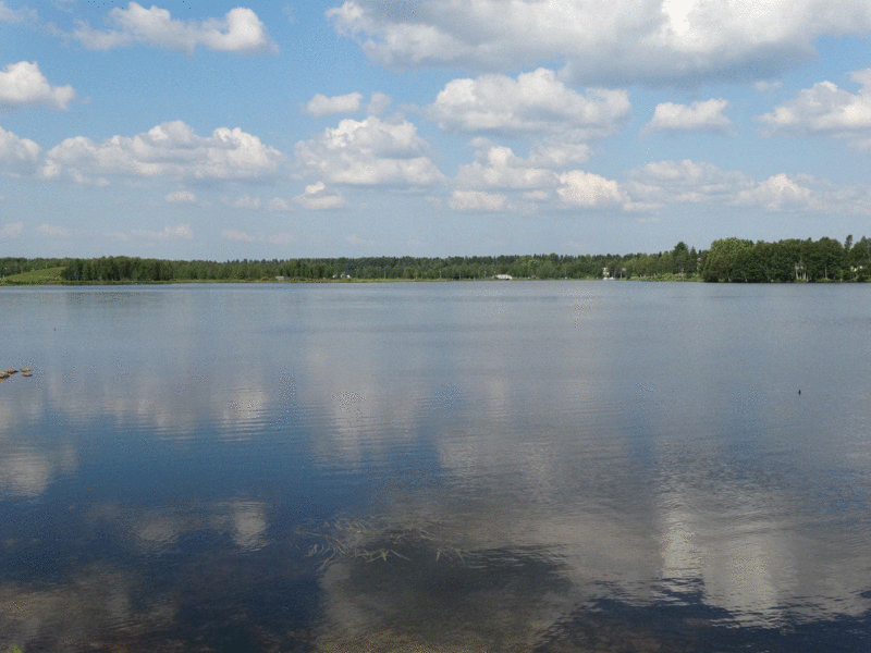 Tiedosto:Kuusamojärvi 1.gif