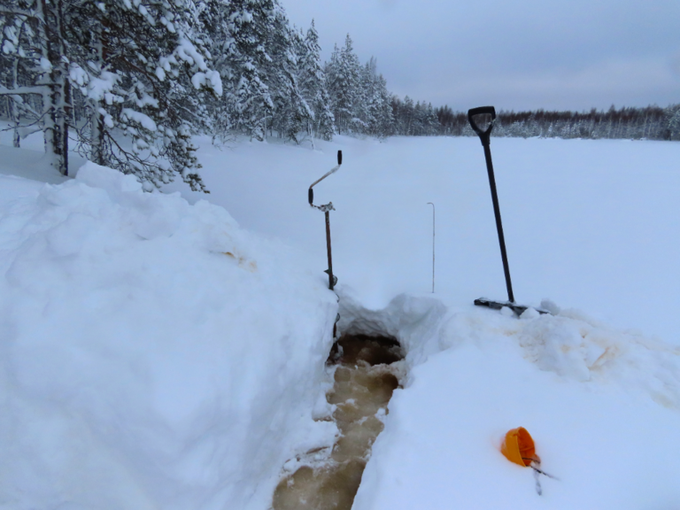 Lokkilampi (04.488.1.007)-Havaintopaikka 1-ObsIMG-202202211353-62137e5c88c46.png