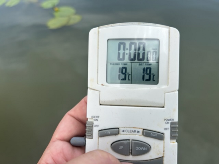 Tuusulanjärvi (21.082.1.001)-Rotarien sinileväseuranta (Kotuntien laituri)-ObsIMG-202307171144-64b4ffb44d71d.png