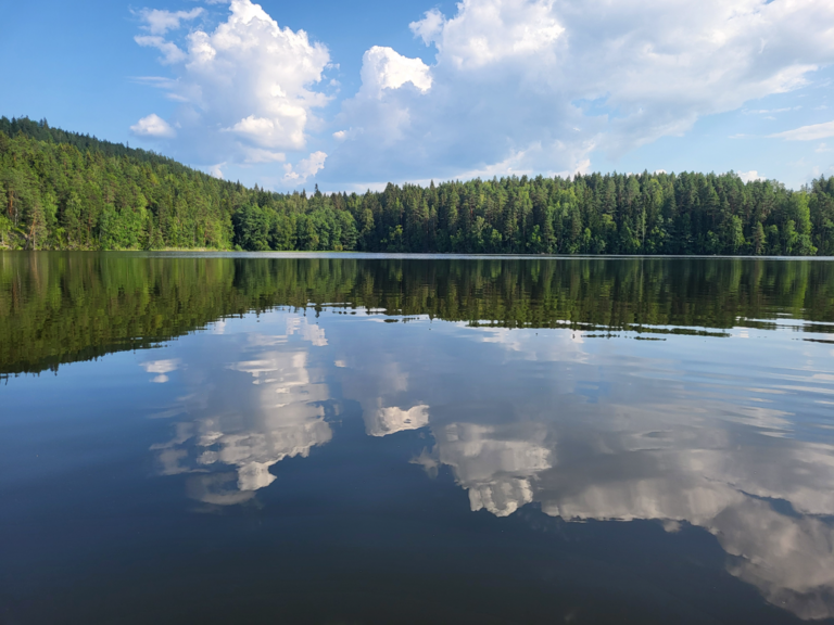 Vihajärvi (35.781.1.001)-Mittauspiste RK1-ObsALG-202507151649-1752587484920.png