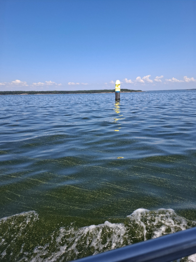 Loviisa-Porvoo-Havaintopaikka 1-ObsIMG-202507151346-1752576549634.png