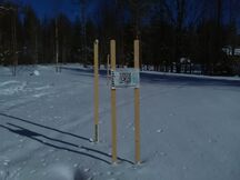 Möhkön alue (04.931)-Havaintopaikka 1-ObsIMG-201903131203-84.jpg