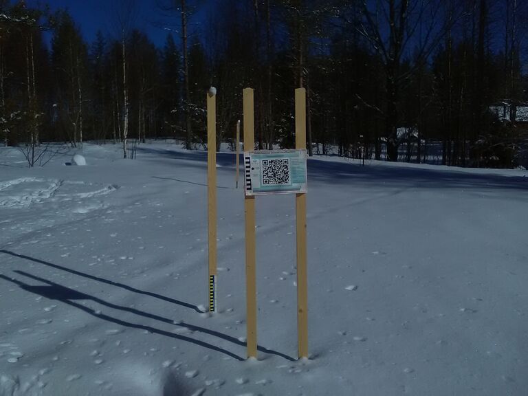 Möhkön alue (04.931)-Havaintopaikka 1-ObsIMG-201903131203-84.jpg