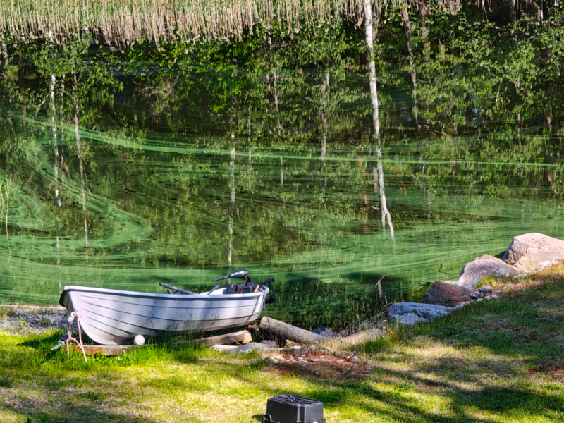 Tiedosto:Päijänne (yhd.)-Asunnanniemi-ObsIMG-202507020955-6864d860e94d7.png