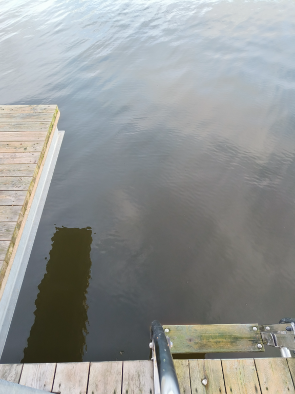 Pyhäjärvi (34.031.1.001)-Valtakunnallinen sinileväseuranta (Katismaan uimaranta)-ObsALG-202507300808-1753852126468.png