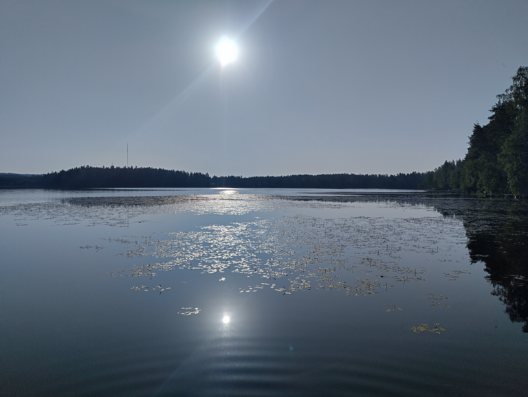 Työtjärvi (18.057.1.001)-Lohimäki-ObsLEVEL-202507140809-1752471127787.png