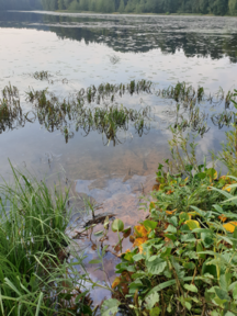 Pohjavesialueella haitta-aineita.