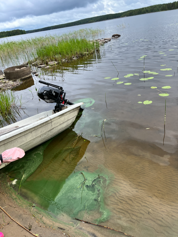 Alvajärvi (14.481.1.001)-Seläntaus-ObsALG-202506270901-685e349bc282b.png