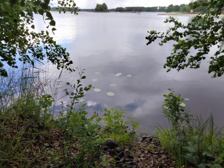 Evijärvi (47.021.1.001)-Valtakunnallinen sinileväseuranta (Sillankorvan leirintäalue)-ObsIMG-202406191141-6672b619af2a8.png