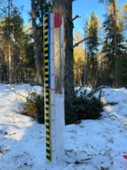 Jerisjoen alaosan alue (67.471)/Havaintopaikka 6