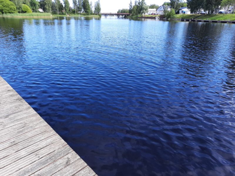 Tiedosto:Kuhajärven alue (04.171)-Valtakunnallinen sinileväseuranta (Uitonvirta, Alinanniemen uimaranta)-ObsALG-202307111619-64ad56e747549.png