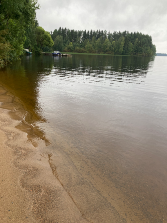 Lappajärvi (47.031.1.001)-Valtakunnallinen sinileväseuranta (Lakaniemi)-ObsIMG-202308161042-64dc7dae168d7.png