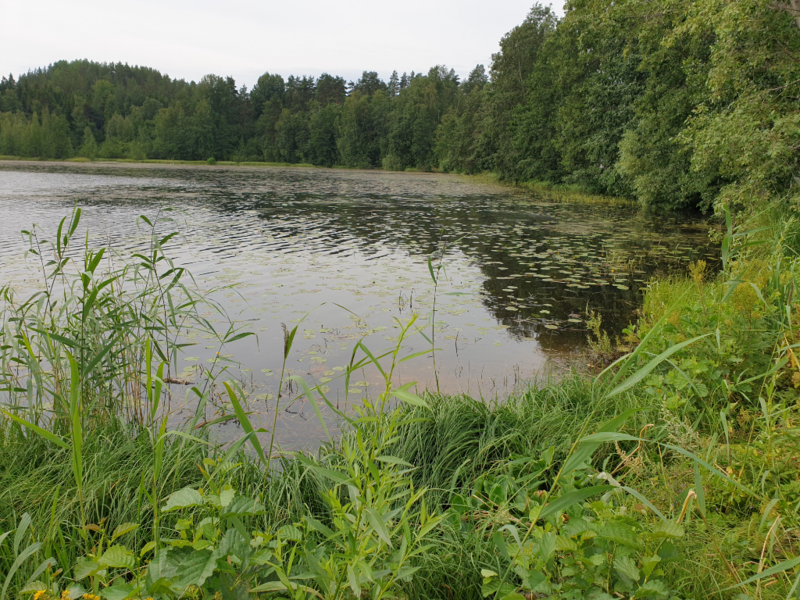 Tiedosto:Urpolanlampi (04.152.1.001)-Uusi hulevesiputki-ObsIMG-202407171051-6698ef58f1f1a.png