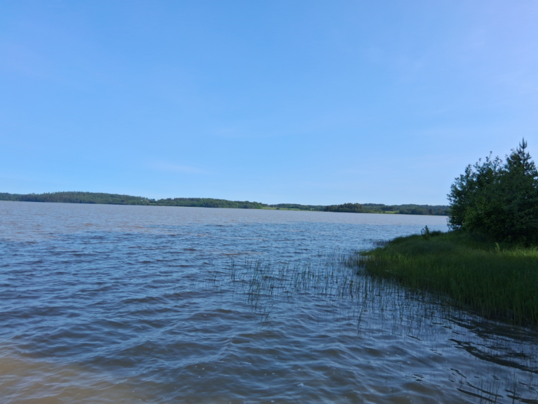 Villikkalanjärvi (16.003.1.003)-Valtakunnallinen sinileväseuranta-ObsIMG-202506100836-1749533945728.png