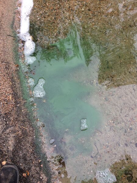 Tiedosto:Keitele (yhd.)-Lohkare-ObsIMG-201909281105-99.jpg