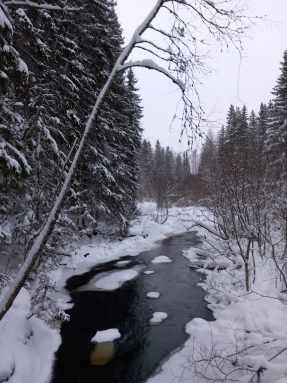 Kiimajoen alue (35.381)-Luontokoulun laavun silta-ObsSNOW-202212131205-63985acf3b714.png