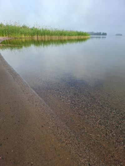 Päijänne (yhd.)-Valtakunnallinen sinileväseuranta (Asikkalanselkä, Kuotaan uimaranta)-ObsIMG-202606160750-1781592865711.png