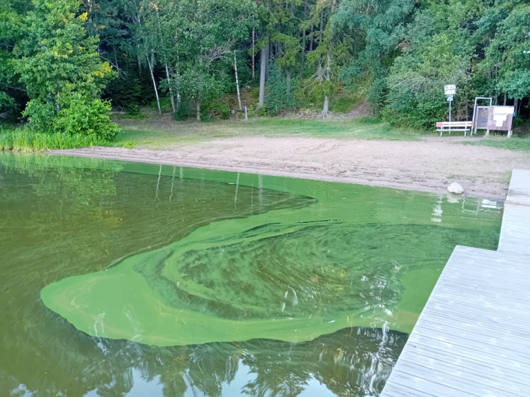 Hiidenvesi (23.031.1.001)-Haudankallio-ObsIMG-202407130833-6692127a75271.png