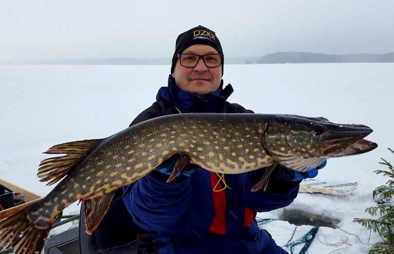 IMG 20170204 160816 416.jpg