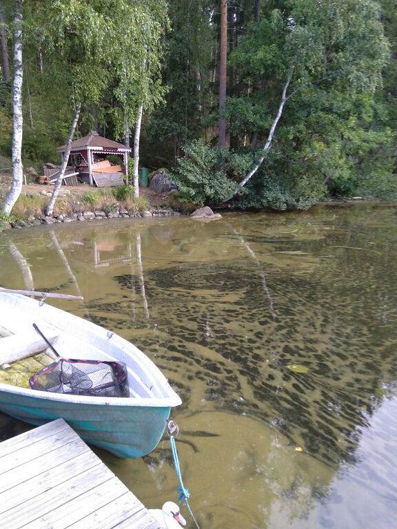 Mäyhäjärvi (35.250.1.001)-Havaintopaikka 1-ObsIMG-202008291906-30.jpg