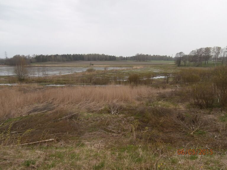 Purolahden lintulavalta.JPG