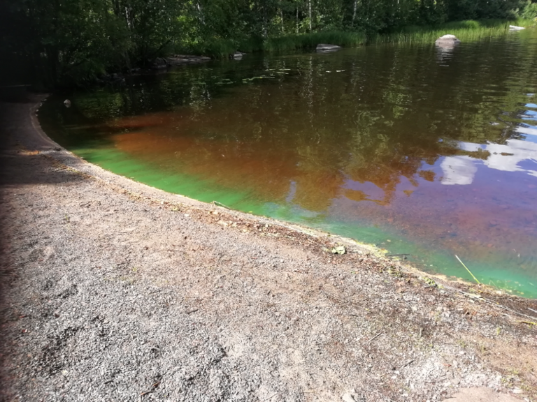 Siikaisjärvi (36.065.1.002)-Kunnannokka-ObsIMG-202207251555-62de932c426df.png