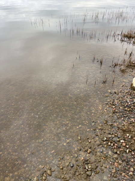 Tiedosto:Dragsvik-Högholmen Ekenäs-ObsIMG-202405130840-6641a83f71af5.png