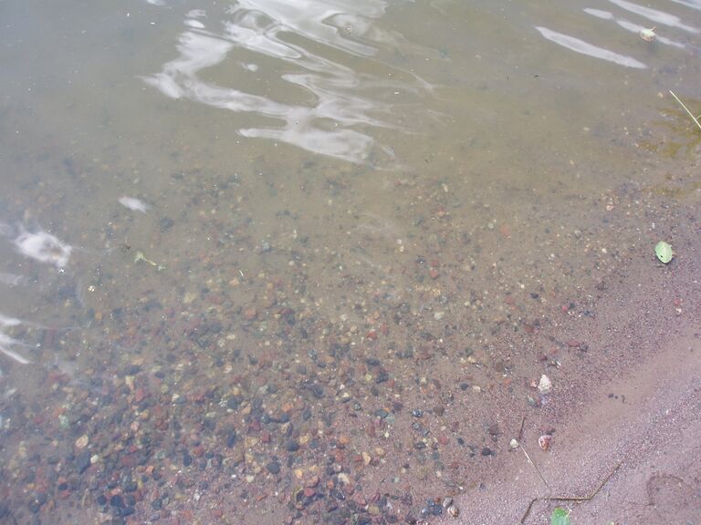 Savijärvi 16.7.2013 001.jpg