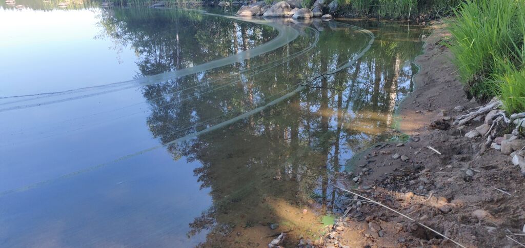 Heinjärvi (23.064.1.003)-Heinjärvi-ObsIMG-202006231517-90.jpg