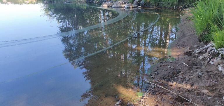 Heinjärvi (23.064.1.003)-Heinjärvi-ObsIMG-202006231517-90.jpg