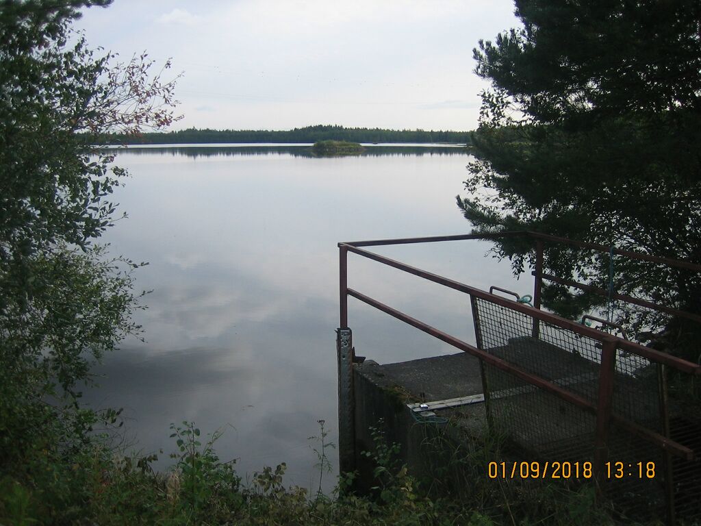 Oravisjarven länsipaa.JPG