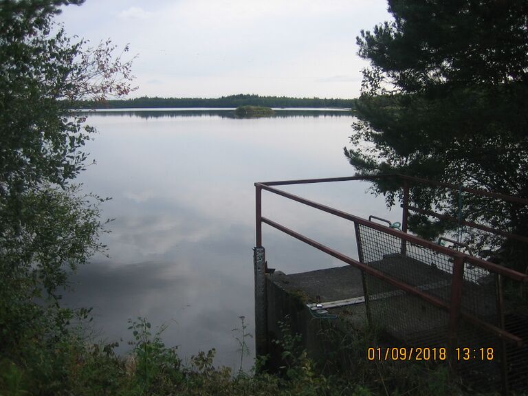 Oravisjarven länsipaa.JPG