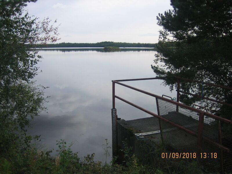 Tiedosto:Oravisjarven länsipaa.JPG