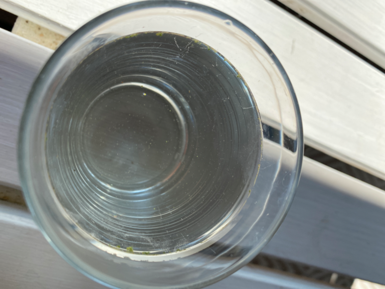 Pihlajavesi (Saimaa) (04.121.1.001)-Tynkkylän lomaniemi-ObsIMG-202107271239-60ffd4c6d8a03.png