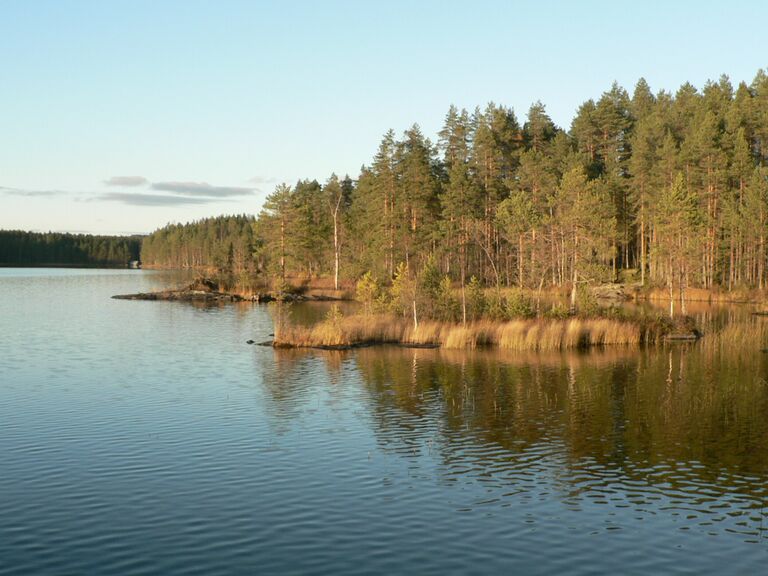 Västin luodot lokakuussa.JPG